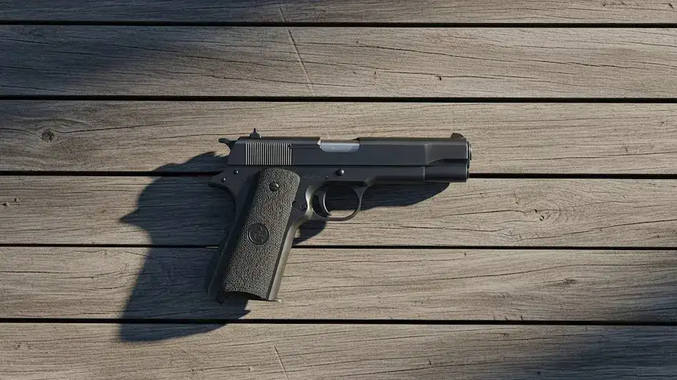Armas de fuego: el Gobierno otorga un año para declarar piezas no registradas o sin papeles