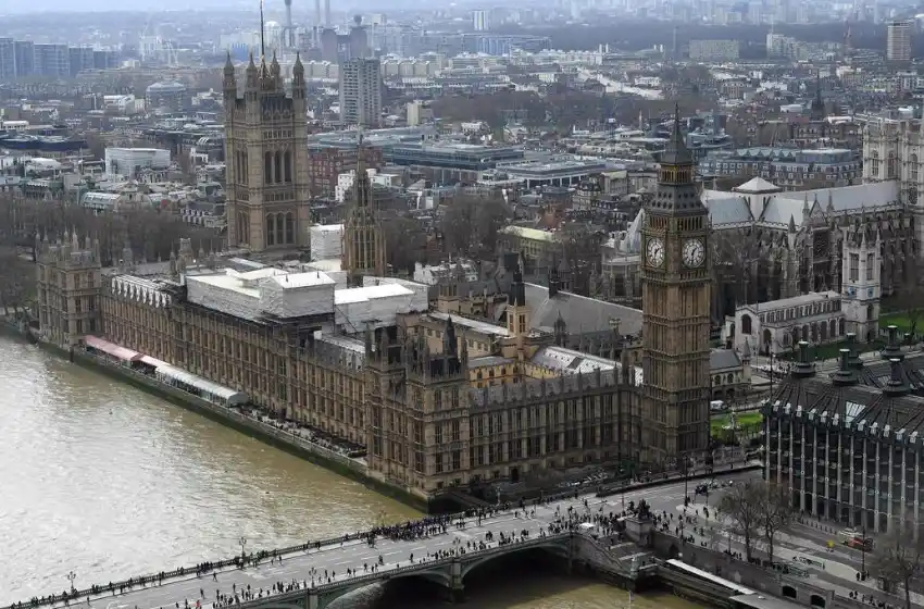 Cocaína en el Río Támesis: las anguilas se vuelven "hiperactivas"