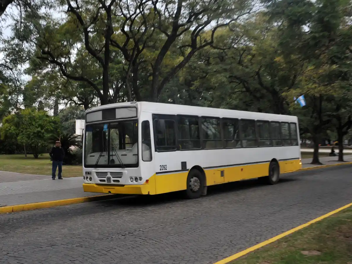 Cómo serán los servicios municipales el feriado de este lunes 