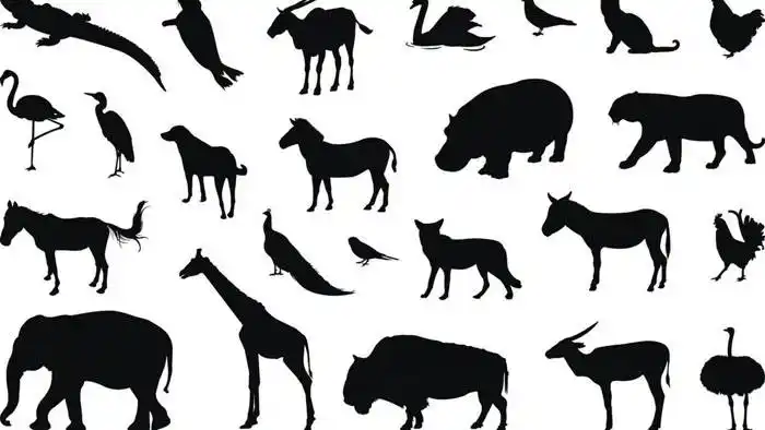 La extinción de vertebrados amenazados  conducirá a cambios en la biodiversidad mundial