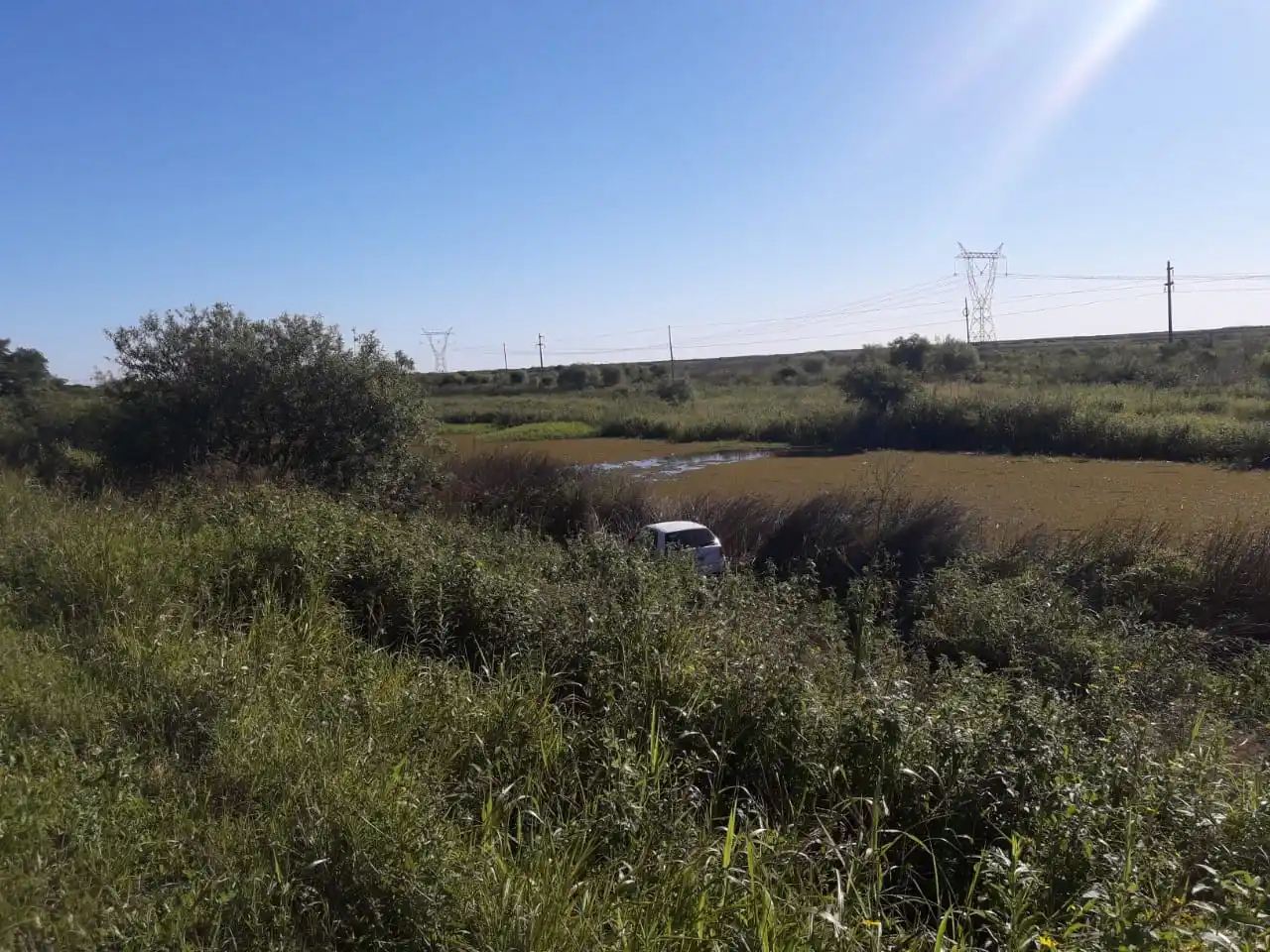 Perdió el control en Ruta 12 y fue a parar al medio de los matorrales