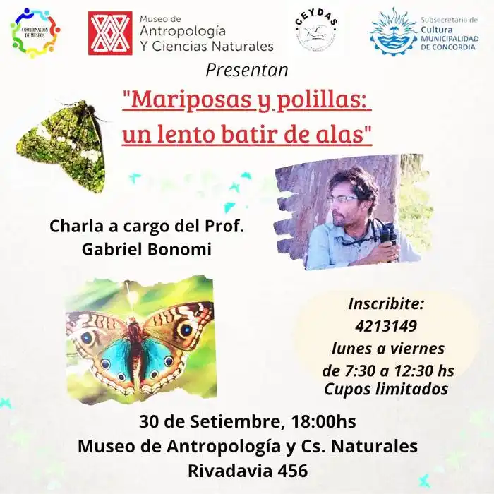 Iniciamos los meses  primaverales aprendiendo  sobre mariposas y polillas