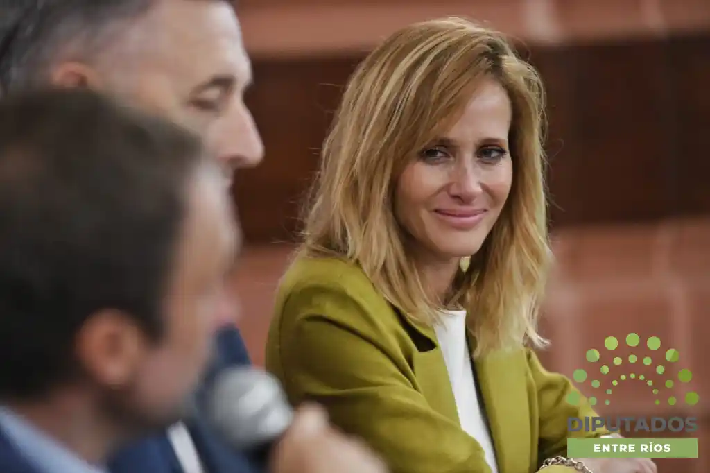 Diputados : Julieta Prandi presentó su libro con un fuerte mensaje en defensa de las mujeres víctimas de violencia