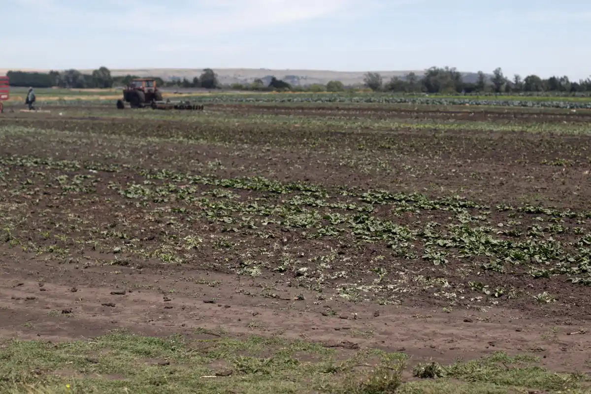 La sociedad rural, preocupada por los caminos y la inseguridad