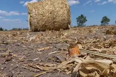 La Federación Agraria pidió una audiencia urgente con funcionarios nacionales por la sequía extrema