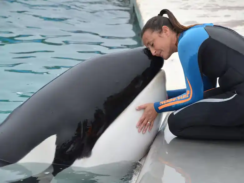 Murió Kshamenk, la orca que vivía en Mundo Marino tras ser rescatada de un varamiento en 1992