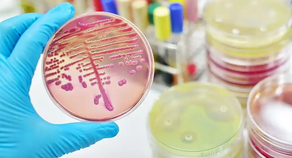 Nuevo antibiótico para infecciones graves ya llegó al país