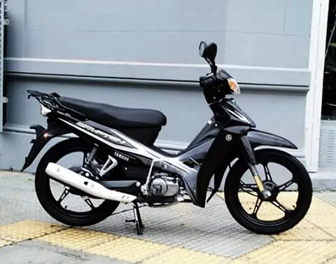 Eludieron al perro guardián y robaron una moto de una casa
