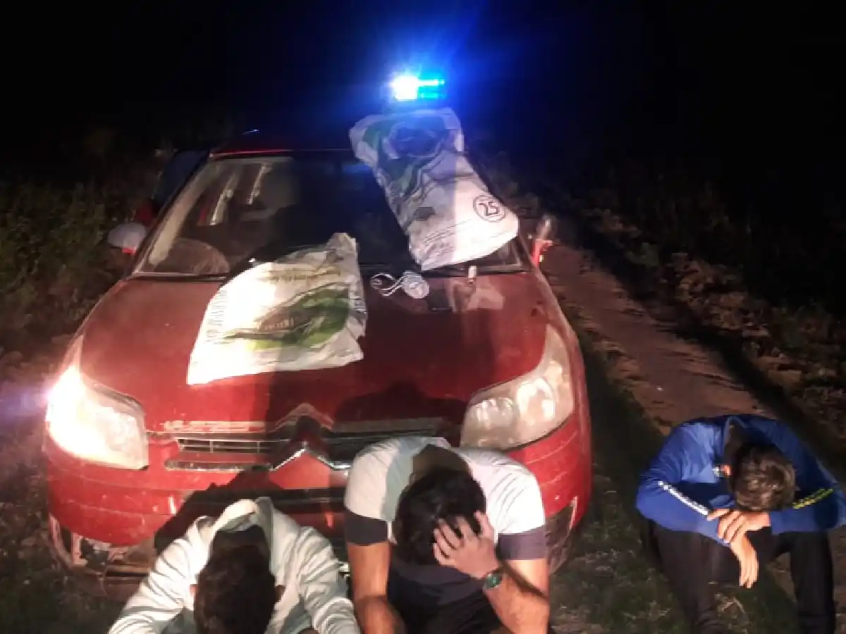 Tres detenidos por destruir silos bolsa en un campo de Colonia Iturraspe