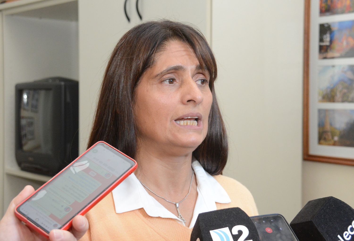 Alejandra Marcieri, secretaria de Protección Ciudadana.