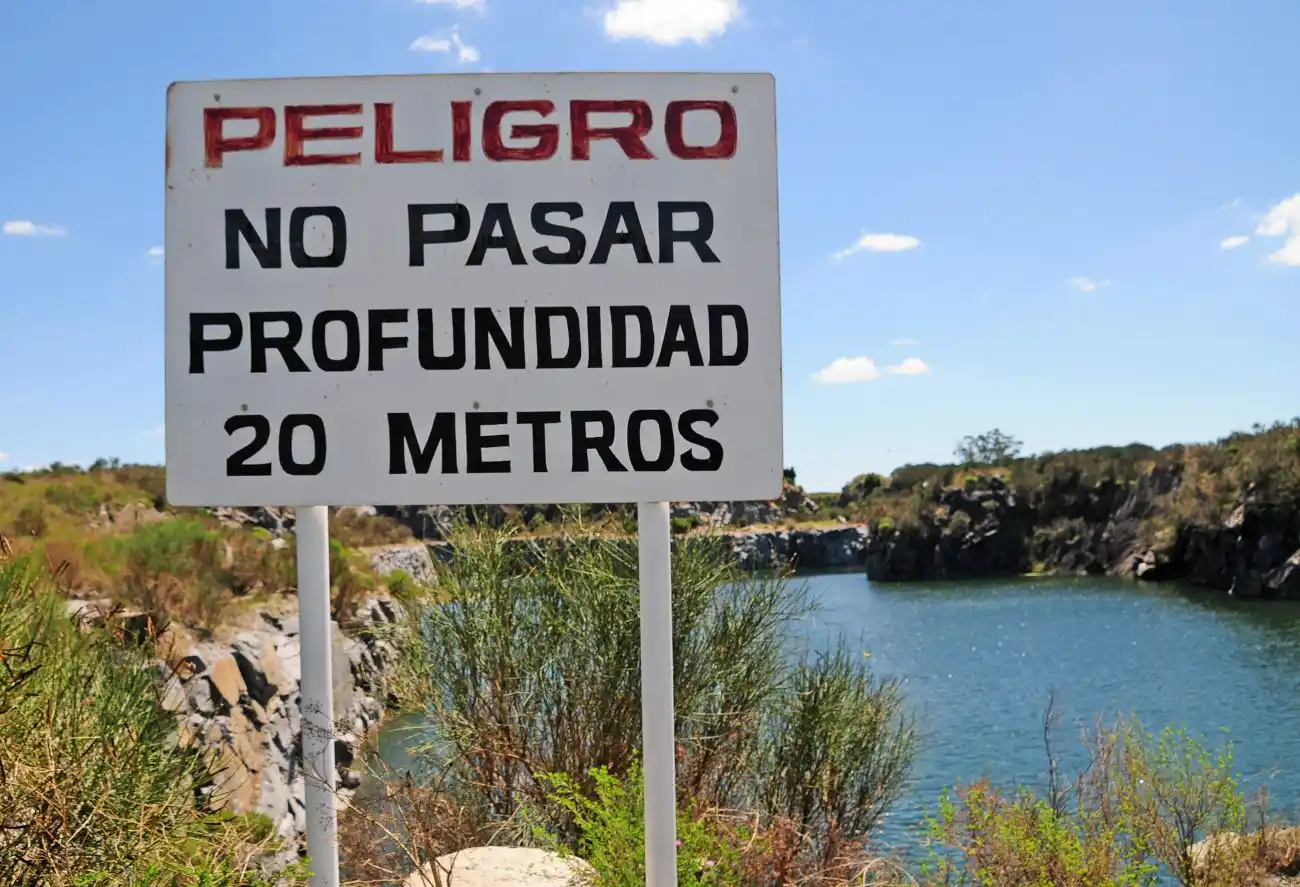 Cavas Leones La Vidriera - 6