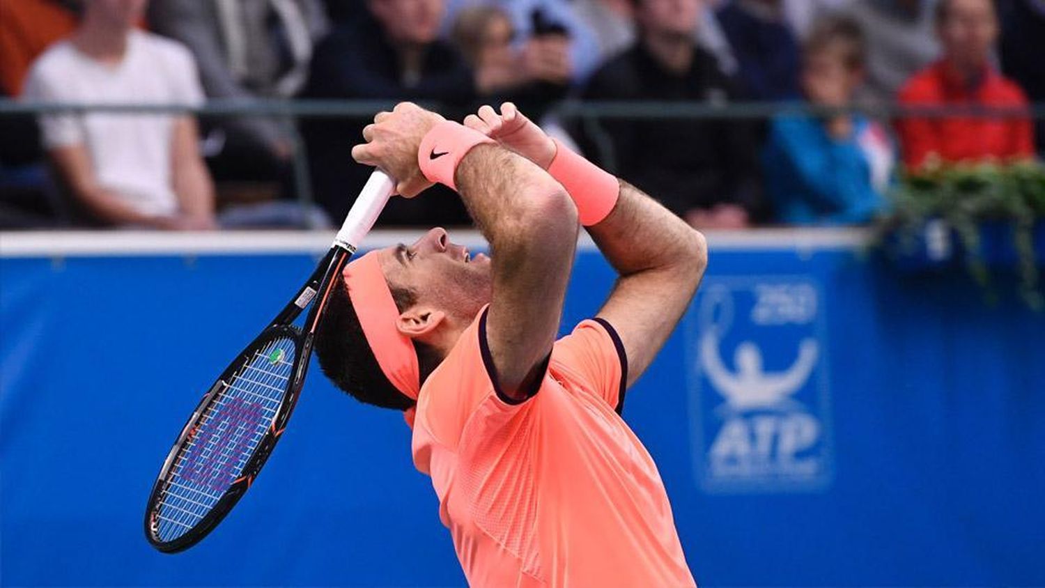 Tras dos años y medio, Del Potro consiguió su primer título