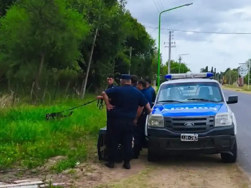 Gualeguaychú: hallaron sana y salva a la mujer que era intensamente buscada