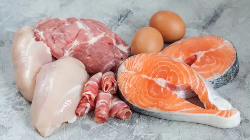 ¿Qué medidas tomar para evitar la Salmonella y Shigella?