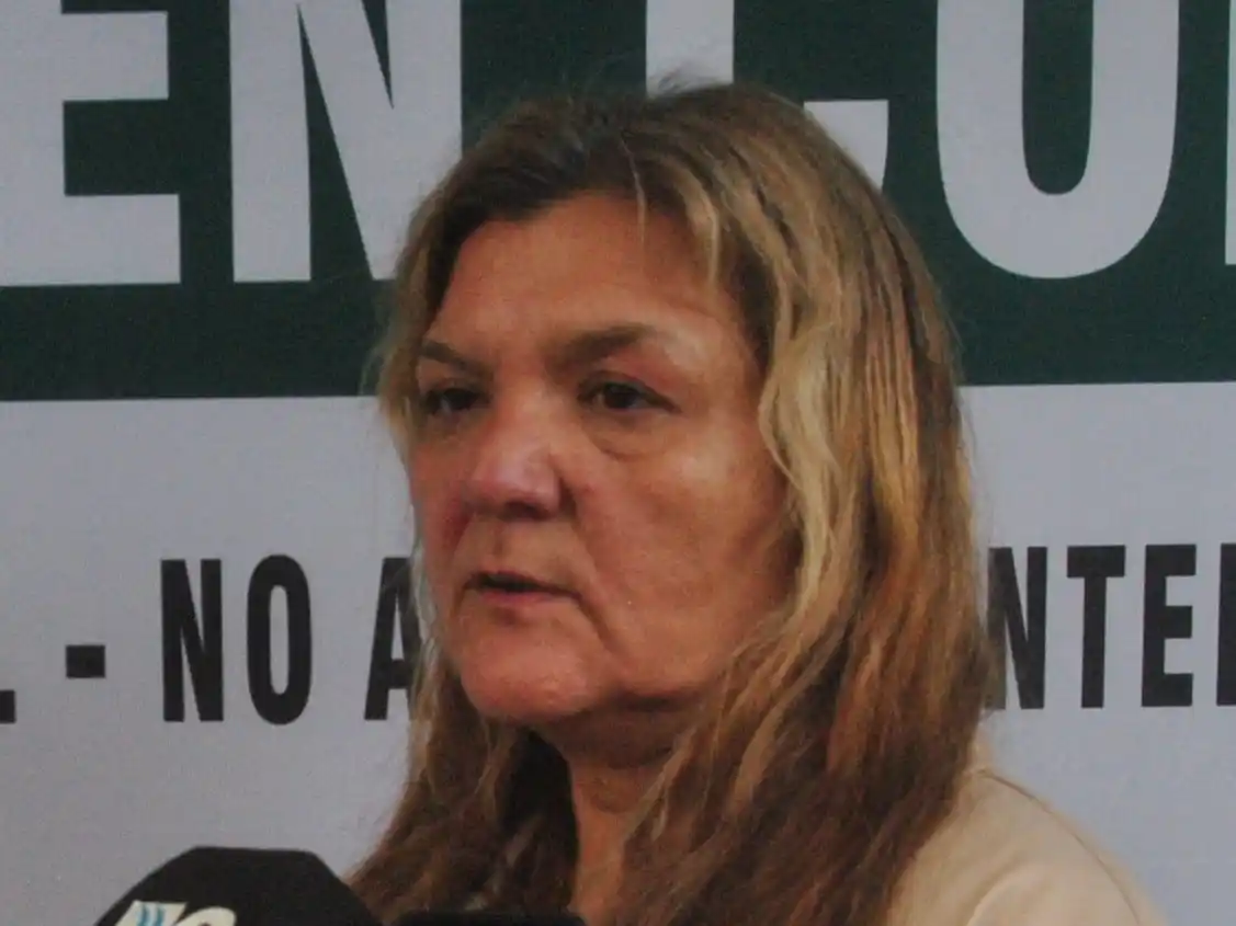Stella Maris Elías es secretaria general de la Seccional Mar del Plata de la Asociación de Empleados Fiscales e Ingresos Públicos (Aefip).