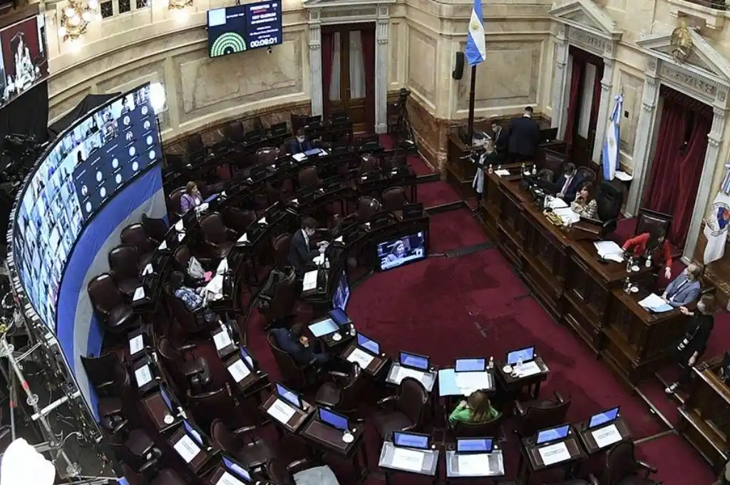 El Senado comienza a debatir el proyecto de las grandes fortunas