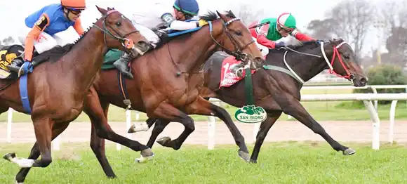 Sábado 1°: Actividad Hipódromo de San isidro