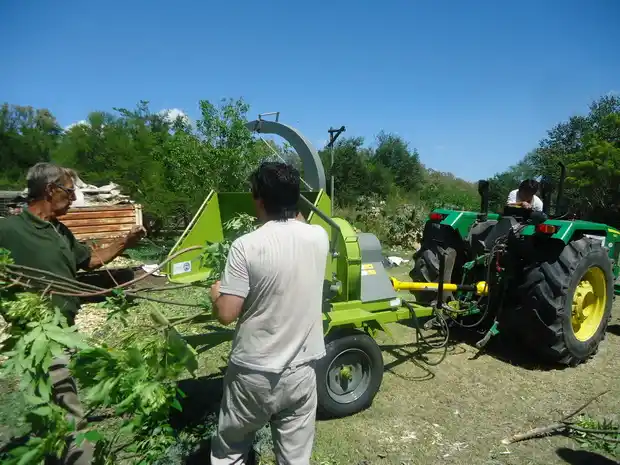 Reducirán las ramas con una máquina chipeadora