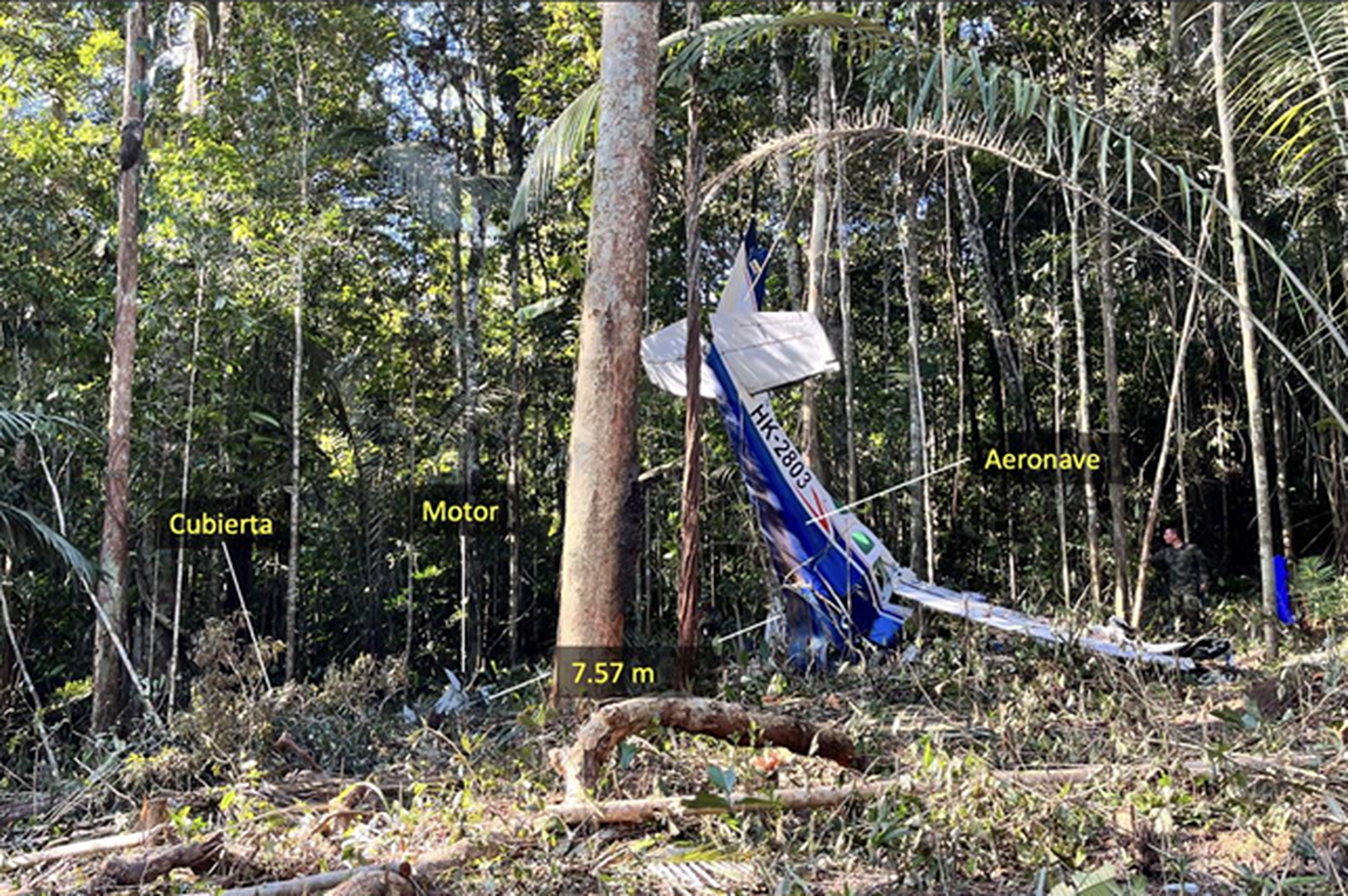 Preliminary Report released on Cessna crash in Colombian jungle; 39-day children survival praised as «reminder of human spirit»