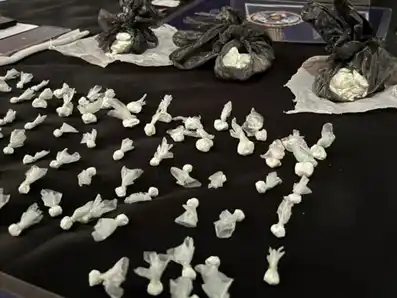 Elementos secuestrados.