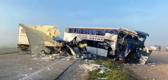 La “motosierra” y el abandono de la seguridad vial