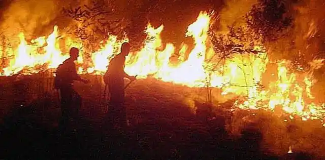 Hay 50 bomberos entrerrianos entrenados para ir al Amazonas
