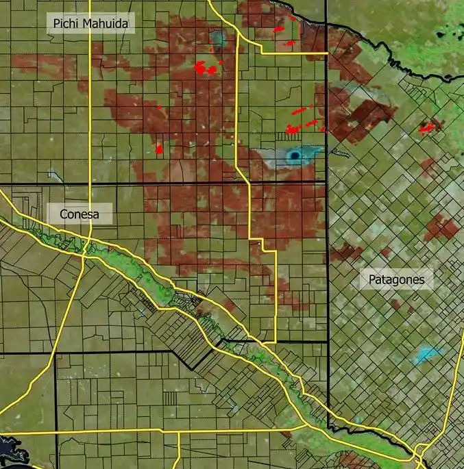 En diciembre se quemaron 90 mil hectáreas en el sur de la provincia de Buenos Aires