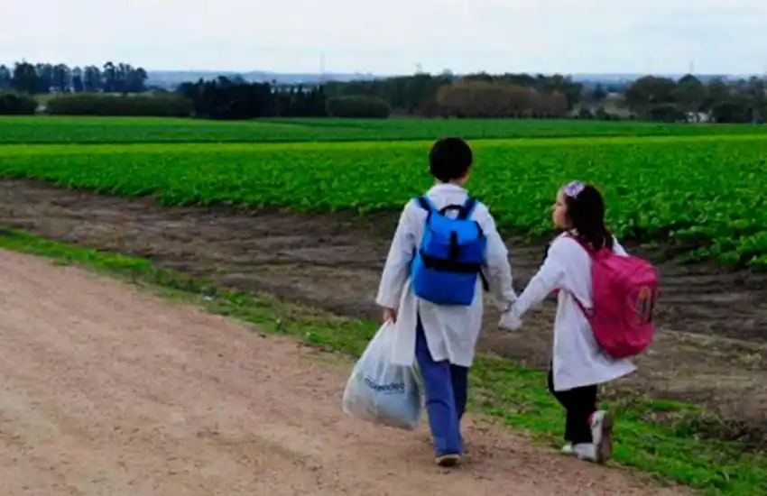 A estudiar más: la Provincia sumará media hora de clases en primaria