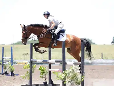 Con mucho esfuerzo se logró alcanzar un nivel técnico y de insfraestructura que superó las expectativas.
