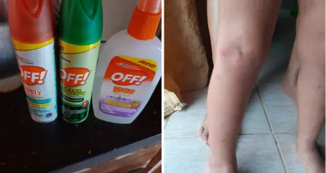 #Reclamo: mosquitos sin tregua