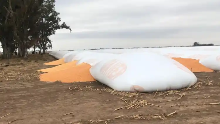 Silosbolsa: Otra vez  un ataque en Córdoba