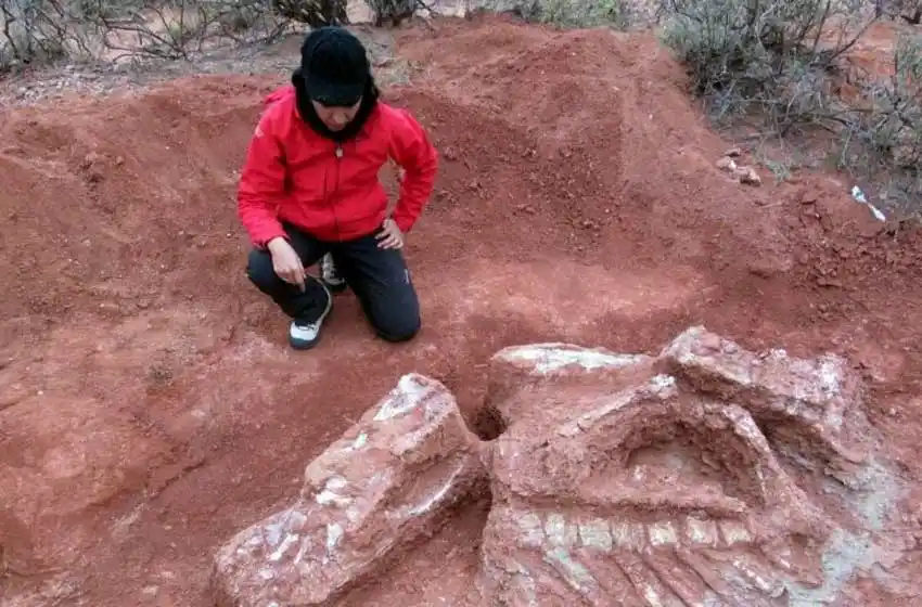 La particularidad del Ingentia Prima, el dinosaurio gigante más antiguo del mundo