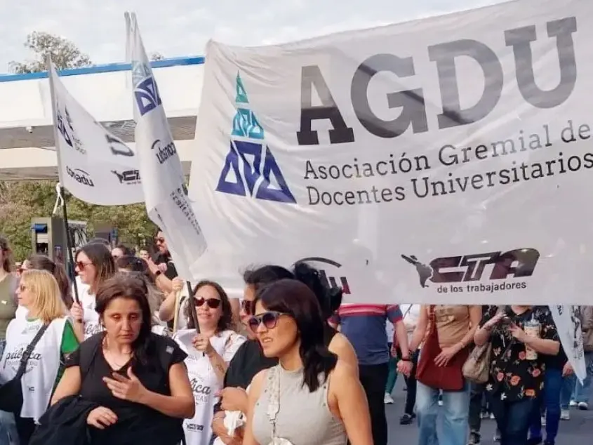 Docentes universitarios se suman al paro del 11 de febrero