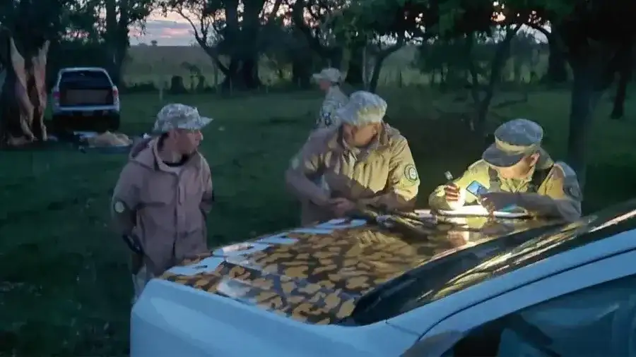 Sorprendieron a dos hombres faenando una vaca durante una constatación por usurpación - 1
