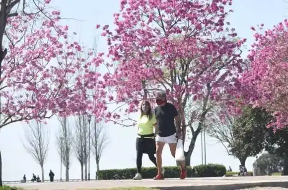 Domingo de primavera en Rosario: cielo algo nublado y sin lluvias en la semana