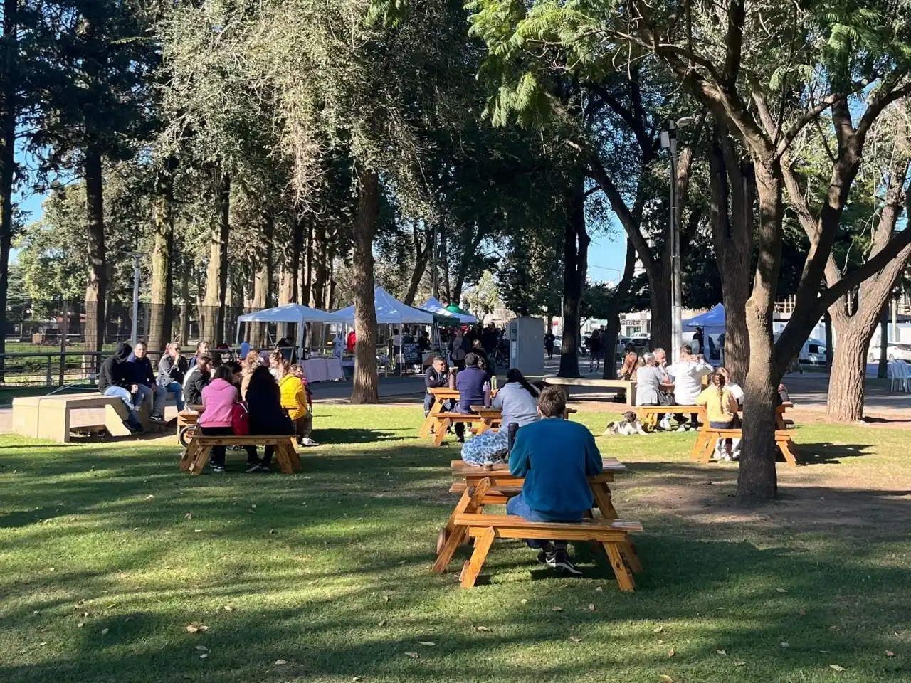 Linda jornada de domingo en el Venite al Parque.