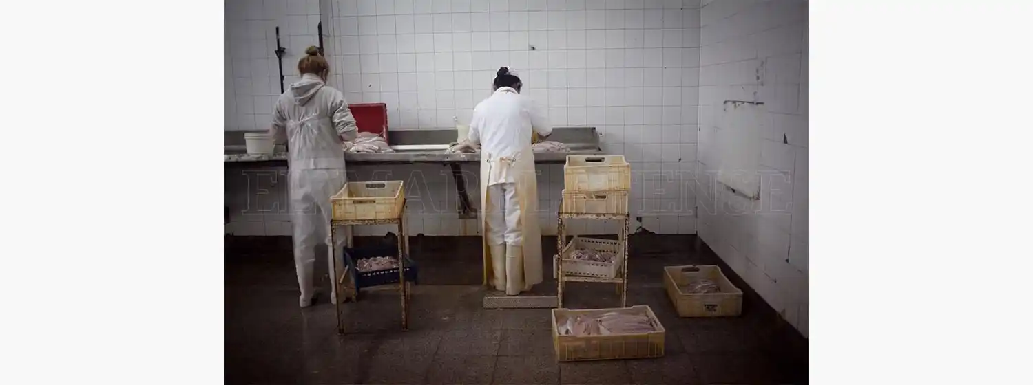 Precarización laboral en el puerto: un virus para el que no hay vacuna