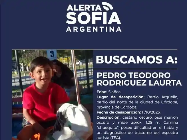 Se activó el Alerta Sofía por el niño desaparecido.