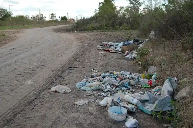 Se limpiaron más de 100 microbasurales en el año