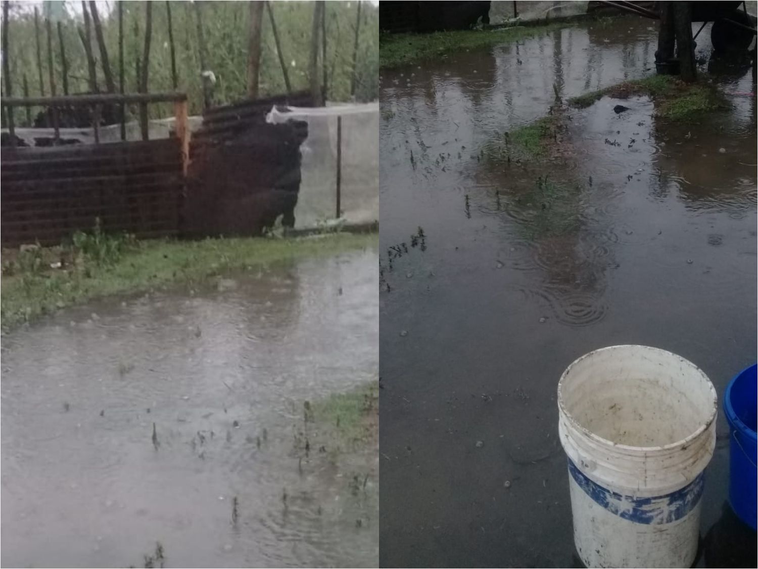 Temporal de lluvia: “Así estamos en Isla Nueva”