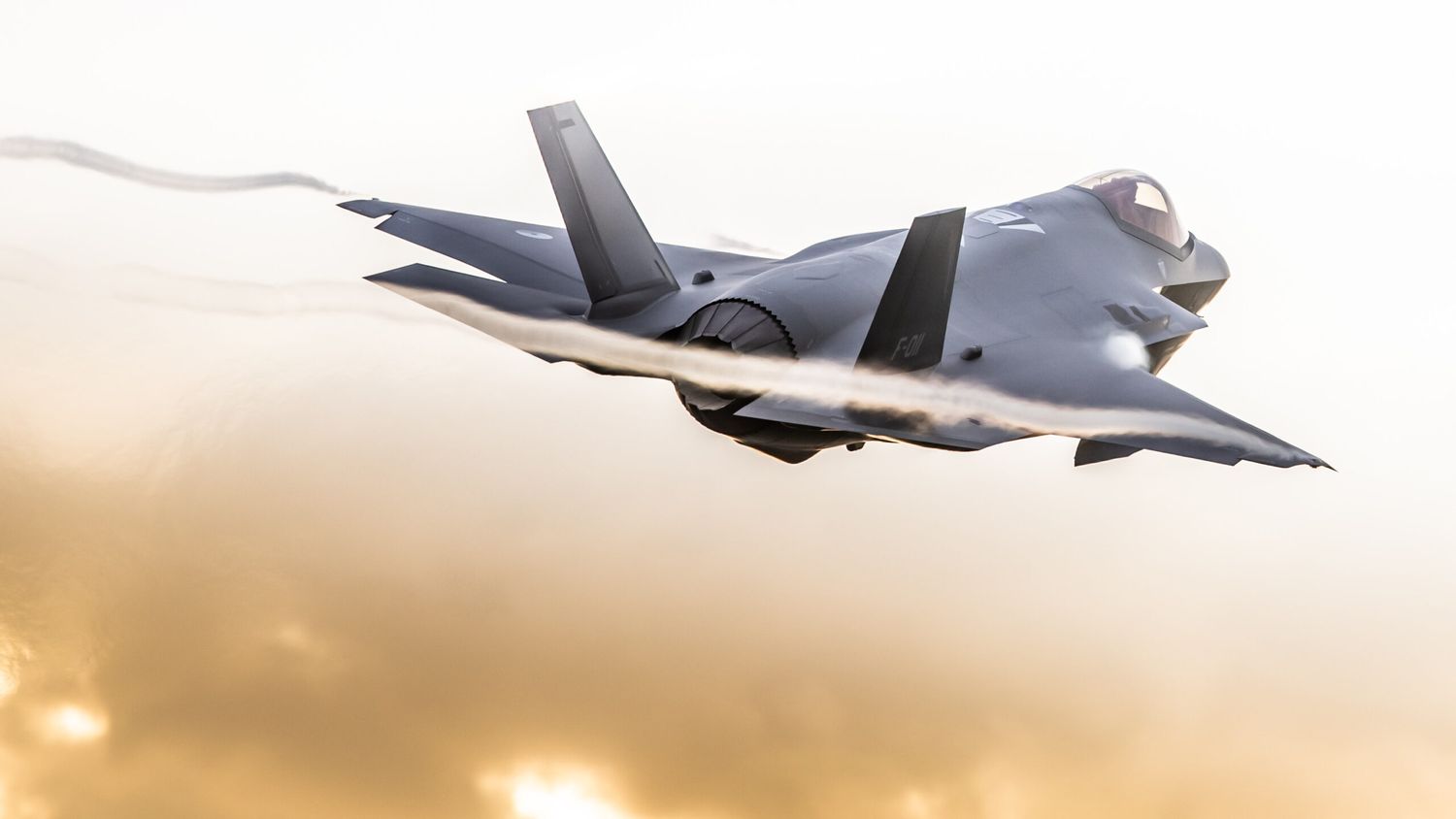 F-35 cheaper than the Gripen?