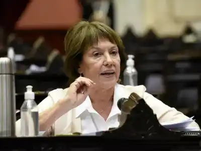 Prohibición de fumigación con drones: Osuna pide al Gobierno provincial revisar la Ley de Agroquímicos