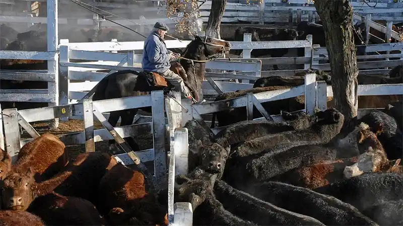 Comenzó el paro del campo por restricciones a las exportaciones de carne