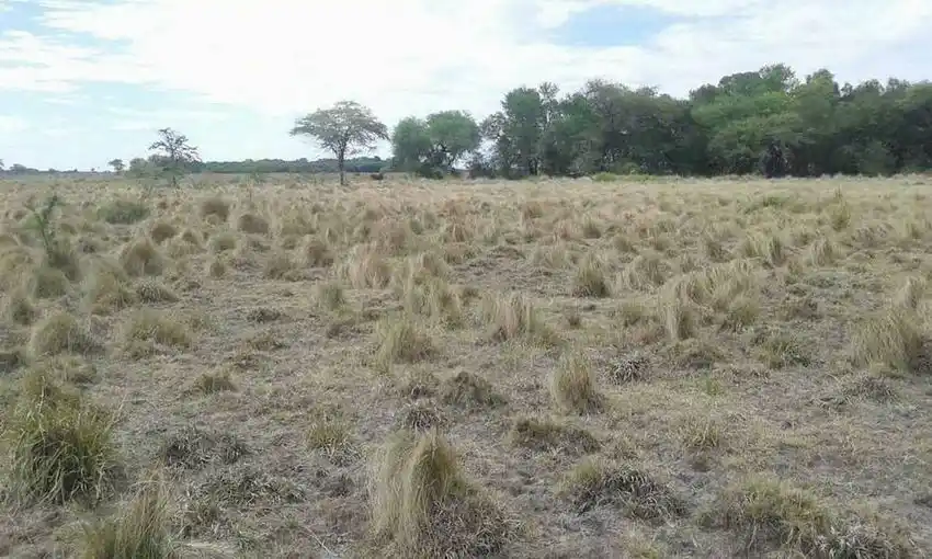 “En Formosa hay un concepto de integralidad 
de la conservación de la biodiversidad”