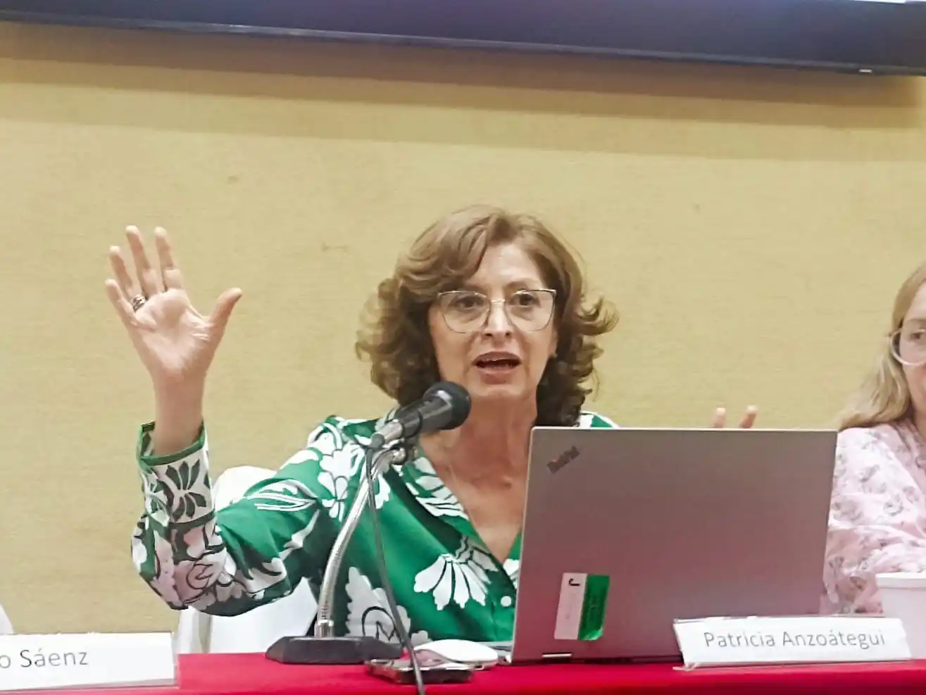 Abogada penalista Patricia Anzoátegui: "La falsa denuncia no es un tema de género, es un problema de justicia y de daño a las infancias".