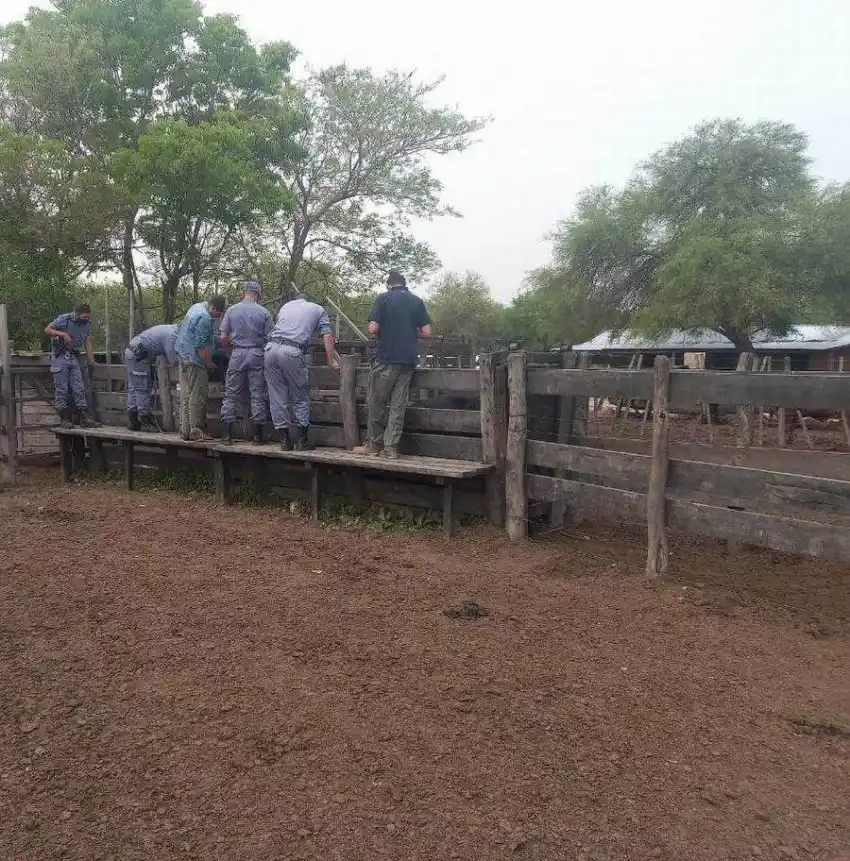Faena ilegal: efectivo policial fue detenido por irregularidad en control de carguío