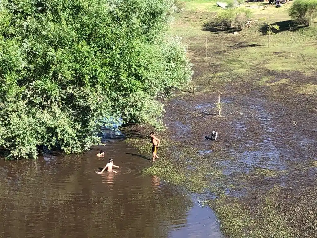 temporal tandil 17-12-23 - 5