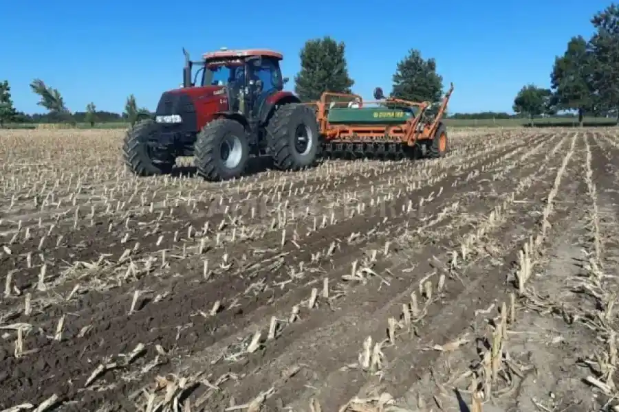 Complicaciones en el agro: por la sequía, hay un 20% menos de intención de siembra de maís en la provincia