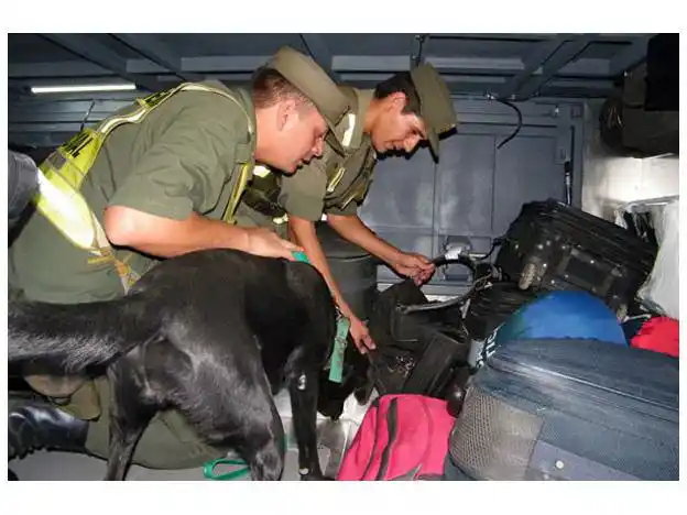 Dos detenidos por llevar cocaína de Buenos Aires hacia Gualeguaychú
