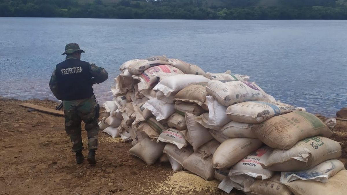 Secuestran más de 10 toneladas de soja ilegal en Misiones